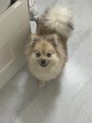 انثى جميلة جدا