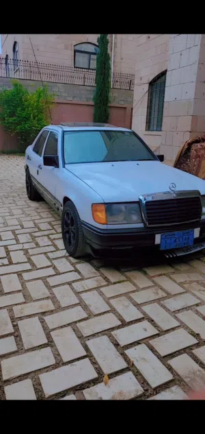 مرسيدس ارنب