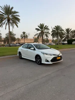 Used Toyota Corolla in Muscat