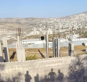 250 م٢ . الوسيط1