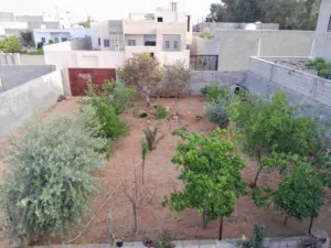Studio Farms for Sale in Tripoli Ain Zara