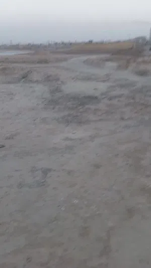 قطعه ارض للبيع في الصخيين