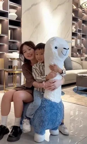 Alpaca chair