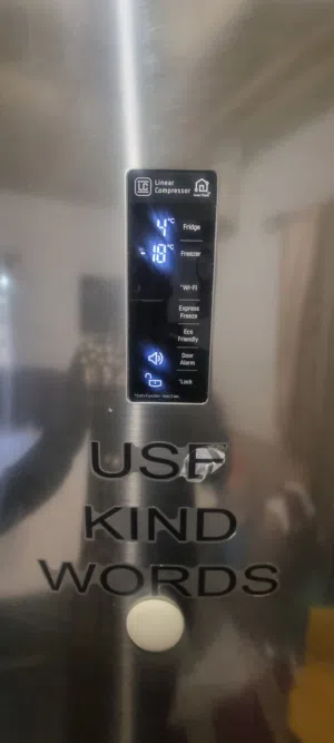 LG Linear Inverter Refridgerator with Fridge and Freezer in perfect working condition