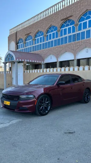 Used Dodge Charger in Al Batinah