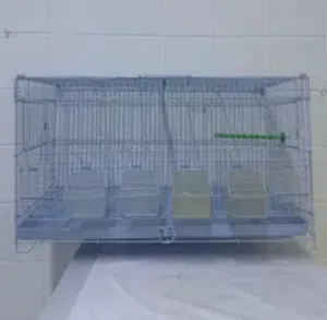For Sale Good Like New Cages