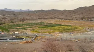 Farm Land for Sale in Al Dakhiliya Sumail