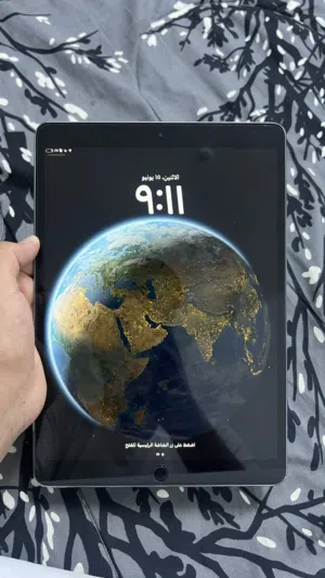 Apple iPad Pro 256 GB in Al Dhahirah