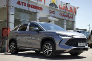 BYD SONG L DMI 2025 zero