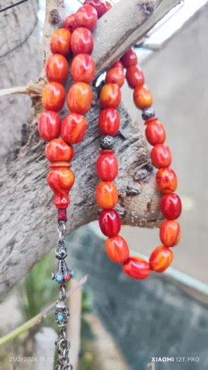 سندلوس إلماني نوادر