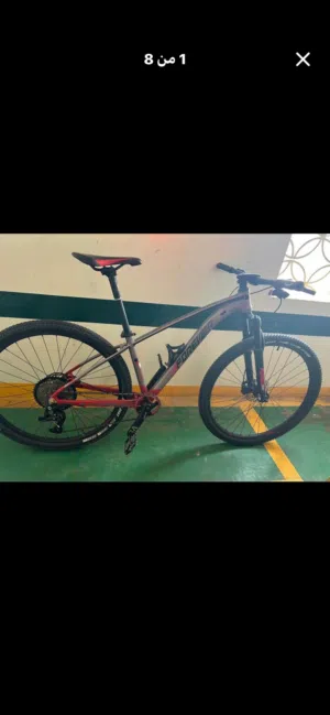 Forever  mountain bike