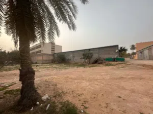 ارض للبيع مساحة 1000متر
