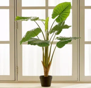 Artificial plant - philo plant