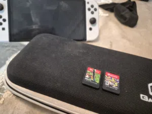 Nintendo olded only case and Nintendo with 2 games
