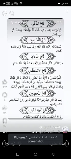 متوفر بط بياض عدد 3 ذكرين وانثى