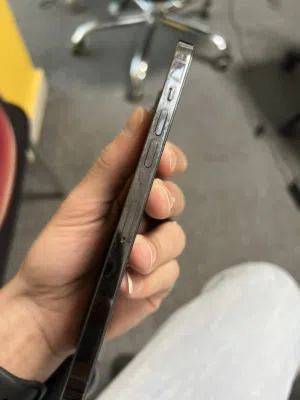 iPhone 12pro max
