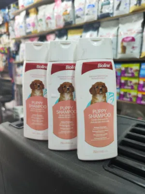 شامبو جراء الكلاب