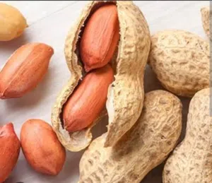 Peanut الفول السوداني