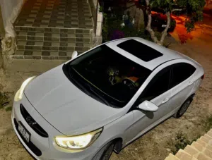 اكسنت 2016