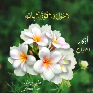 رامي احمد يونس هزايمه 