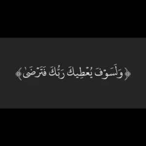 رضا اللوزي