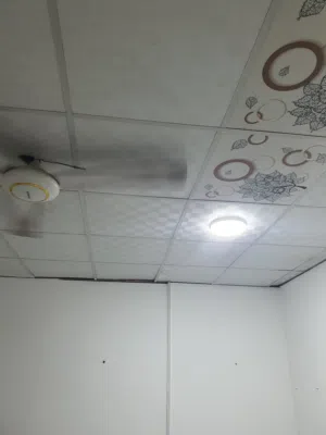 شقة الايجار