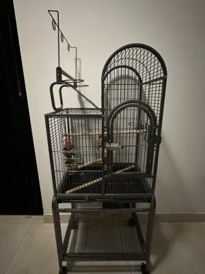 Iron clad bird cage قفص طيور حديد  (غير قابل للتفاوض)