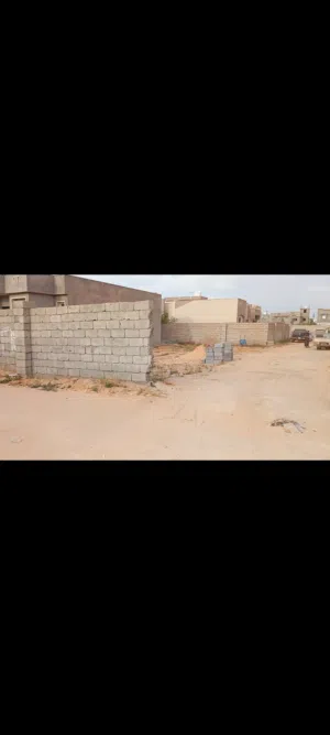 شارع ولاد عطية مزرعة العنب