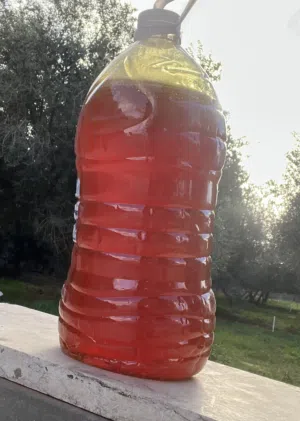 عسل سدر درجه أولى