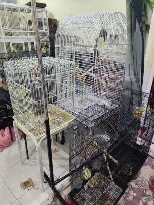 Different sizes big medium birds parrots cages for sale