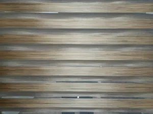 برادي زيبرا للبيع