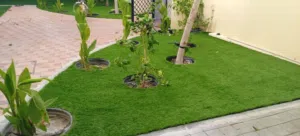 طريق الخبرة للاعمال اللاندسكيب والملاعب والمسابح والحدائق والنوافير وجميع الصيانات والتشطيبات