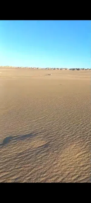 ارض زراعيه تصلح لجميع انواع الزراعات