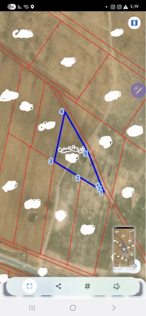 Farm Land for Sale in Irbid An-Nuayyimah