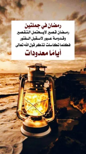 mm. sa. l. im 