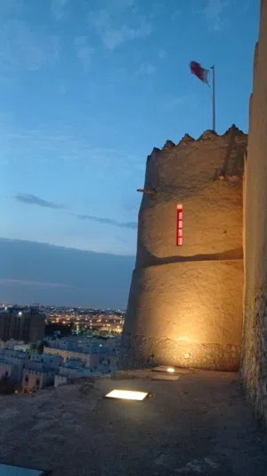 عبد الناصر 
