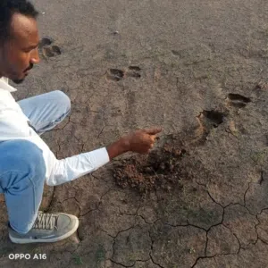 مشروع ثمار الزراعي