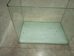 Turtle Aquarium