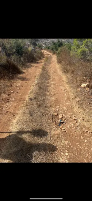 Mixed Use . 900 m2 . Landlord1