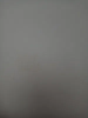 محتاج استديو لايجار