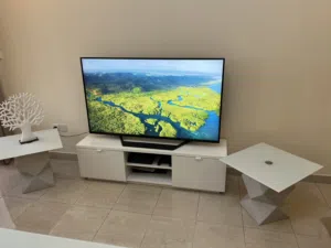 شاشة ال جئ 65