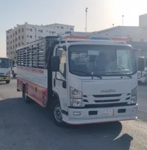 رحم رياض 