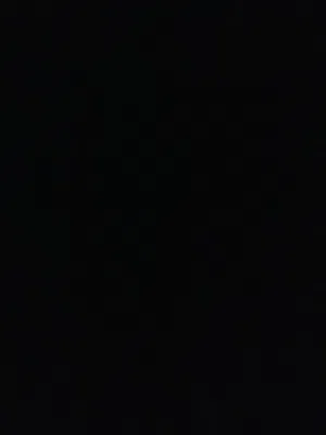 مطلوب عجل نمساوي صغير قيمته من 150وتحت