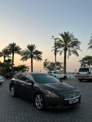 Nissan maxima s 2012