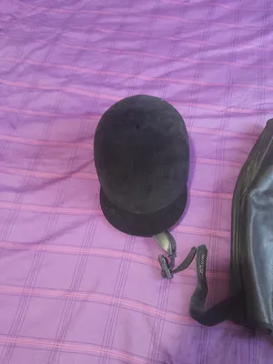 Accessories . Horses0