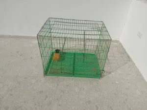 قفص للبيع بسعر مغري