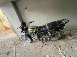 بوكسر هندى