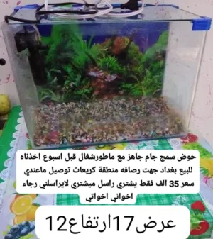 حوض سمج جاهز مع حصو ماطور زجاج بيع بغداد جهة رصافه منطقة كريعات سعر 35 توصيل ماعندي