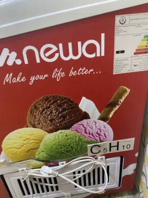 مجمده مستخدمه قليل