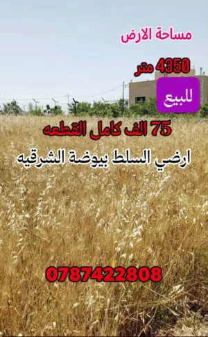 ارض مميزه المزرعه او للسكن